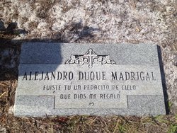 Alejandro Duque Madrigal 