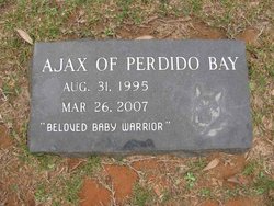 Ajax  of Perdido Bay 
