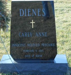 Carly Anne Dienes 