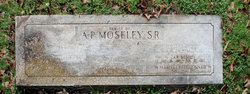 John Augustus Robinson Moseley 