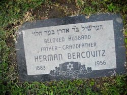 Herman Bercovitz 