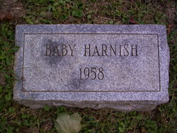Baby Harnish 