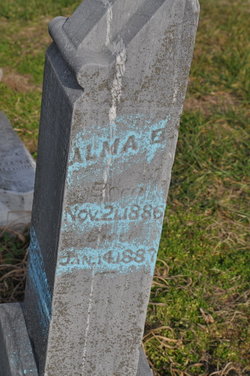 Alma E Alldredge 