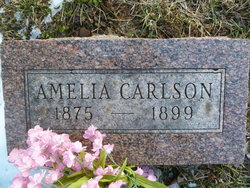 Amelia Carlson 