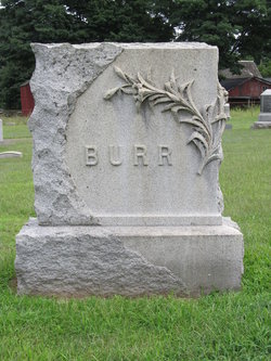David M Burr 