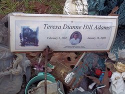 Teresa Dianne <I>Hill</I> Adams 