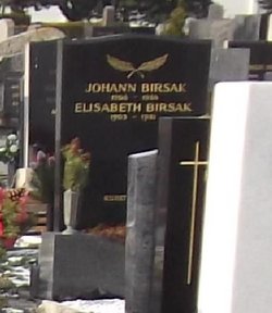 Johann Birsak 