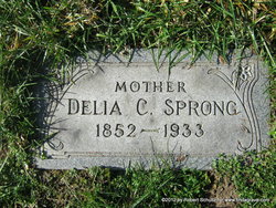 Delia <I>Cummings</I> Sprong 