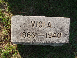 Viola <I>Ash</I> Dade 