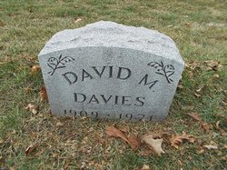 David M. Davies 