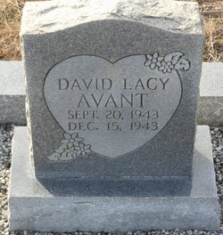 David Lacy Avant 