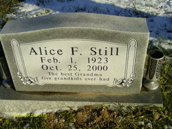 Alice F Still 
