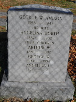 George William Amison 