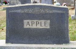 Angeline V. “Lina” <I>Cobb</I> Apple 