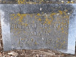 Richard Derwood Adams 