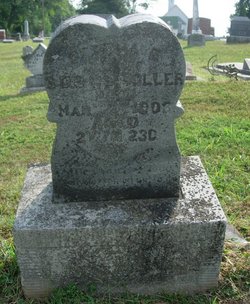 Bertha E. Holler 