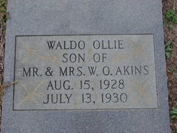 Waldo Ollie Akins 