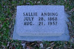 Sarah Josephine “Sallie” <I>Harrigill</I> Anding 