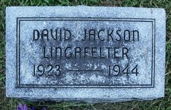 David Jackson Lingafelter 