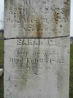 Sarah C Adams 