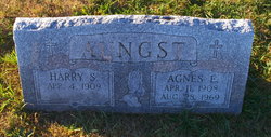 Agnes E <I>Shuey</I> Aungst 