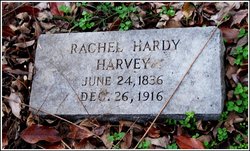 Rachel Hardy Harvey 