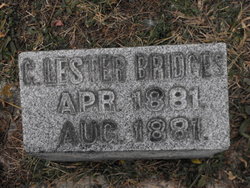 George Lester Bridges 
