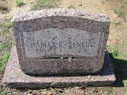 Charles Emmett Jenkins 