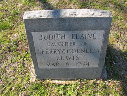 Judith Elaine Lewis 