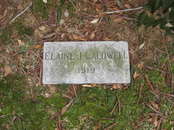 Elaine J Caldwell 