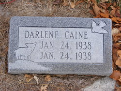 Darlene Caine 