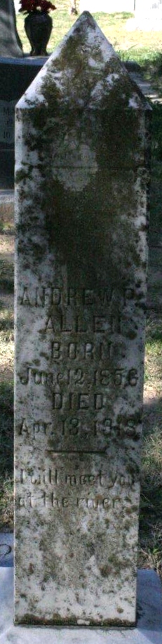 Andrew P Allen 