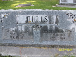 George Elmer Ellis 