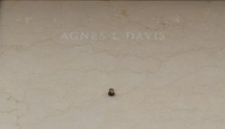 Agnes Louise <I>Smith</I> Davis 