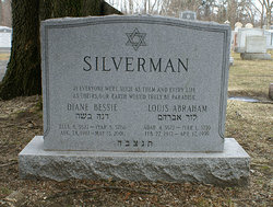 Diane Bessie <I>Cagan</I> Silverman 