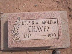 Delfinia <I>Molina</I> Chavez 