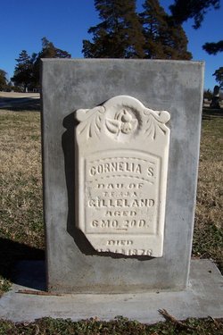 Cornelia S Gilleland 