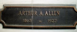 Arthur A. Allen 