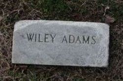 William “Wiley” Adams 