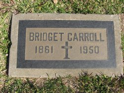 Bridget <I>Logan</I> Carroll 