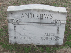 Alice J <I>Eldridge</I> Andrews 