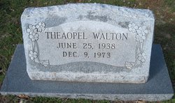 Theaopal <I>Ash</I> Walton 