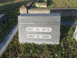 Samuel Pickens Anderson 