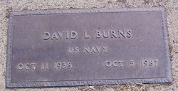 David L. Burns 