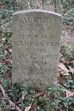 Julius Carpenter 