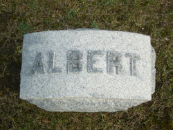 Albert Clift Comstock 