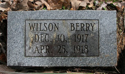 Wilson Berry 