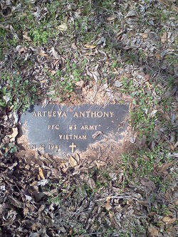 Artleva Anthony 