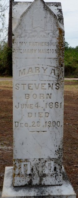 Mary Ann “Mattie” <I>Brashear</I> Stevens 