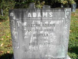 Aurilla <I>Adams</I> Adams 